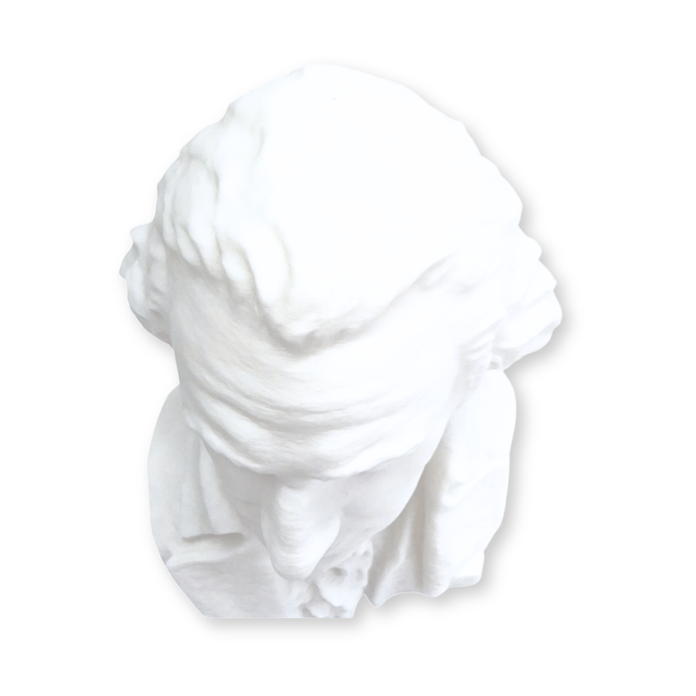 George Washington Bust
