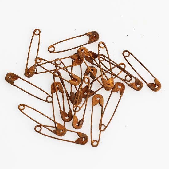 Rusty Metal Safety Pins- Embellishments- The Celebration Co.