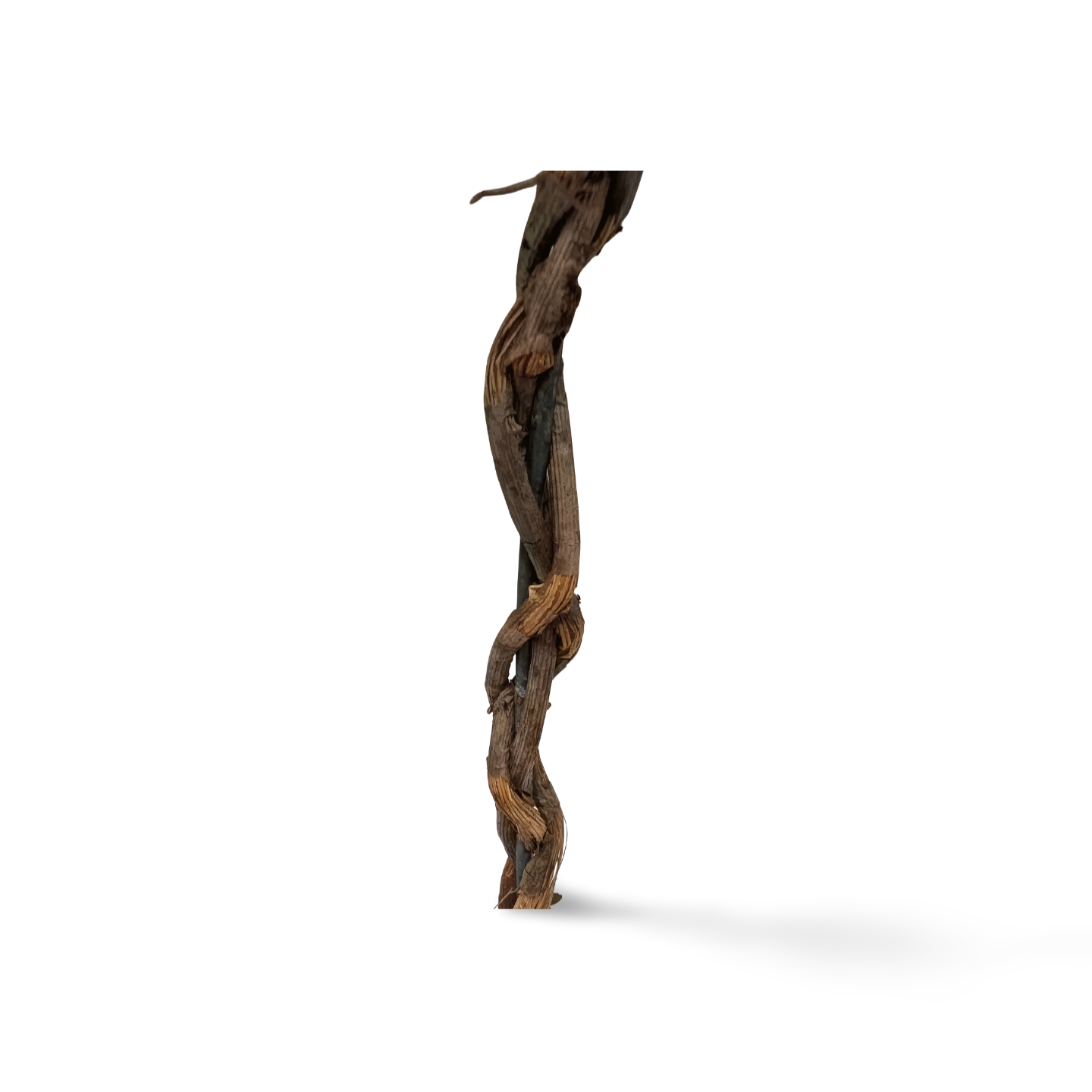Twig Topiary- Florals- The Celebration Co.