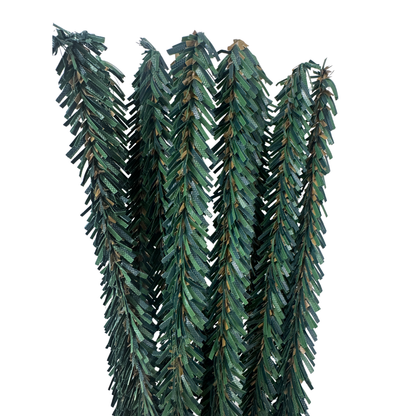 Pack of 12 Canadian Pencil Pine Wired Stems - 12" long-  Florals- The Celebration Co.