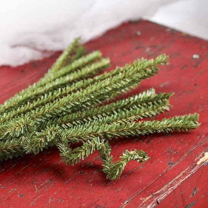 Pack of 12 Canadian Pencil Pine Wired Stems - 12" long-  Florals- The Celebration Co.