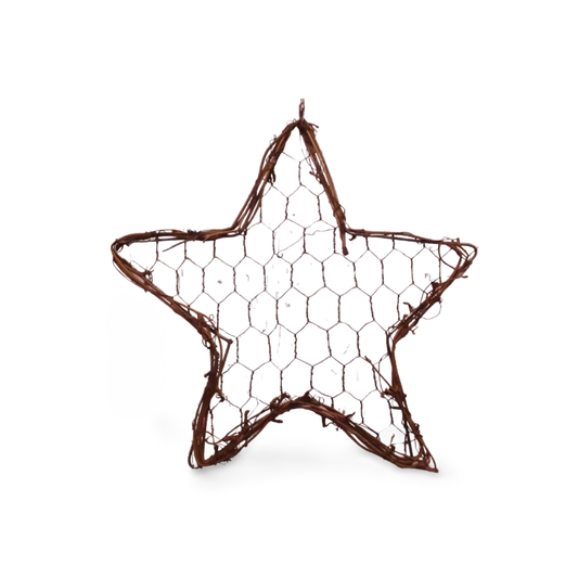 Chicken Wire Star with Grapevine Edge (Choose from 2 Sizes)-  Embellishments- The Celebration Co.