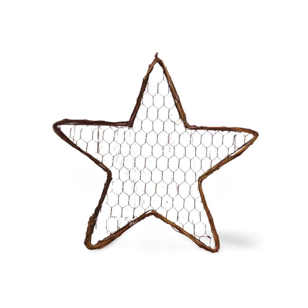 Chicken Wire Star with Grapevine Edge (Choose from 2 Sizes)-  Embellishments- The Celebration Co.