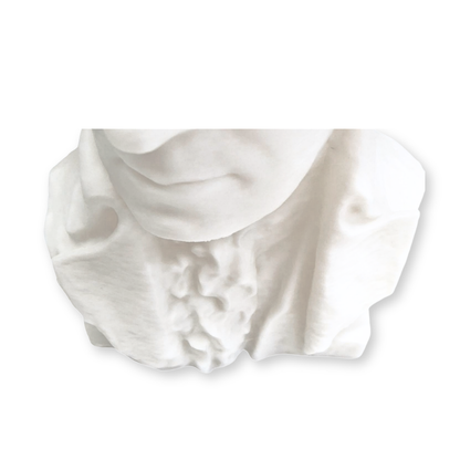 George Washington Bust