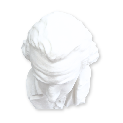 George Washington Bust