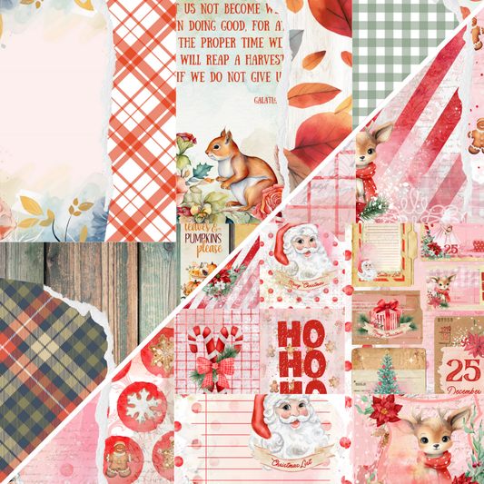 Digital Vault: Harvest Happenings & Sweet Christmas - 11/23