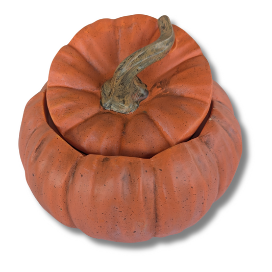 Pumpkin with Lid Container