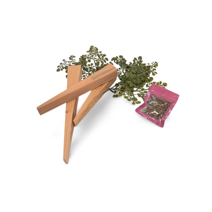 Rustic Carrot Craft Kit-  Bundle- The Celebration Co.