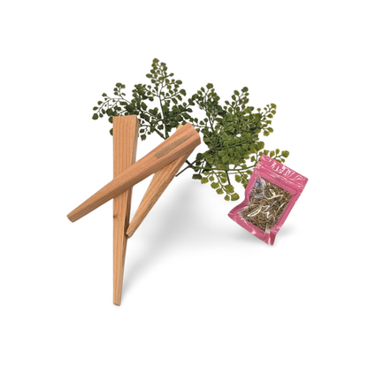 Rustic Carrot Craft Kit-  Bundle- The Celebration Co.