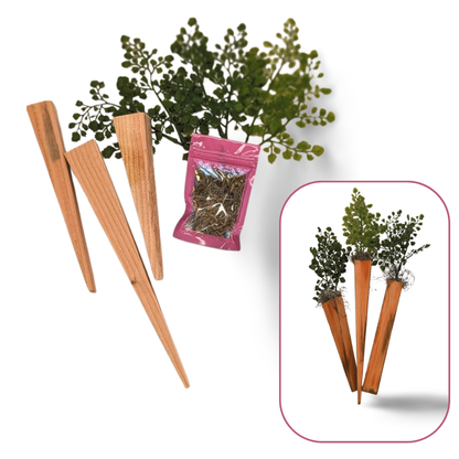 Rustic Carrot Craft Kit-  Bundle- The Celebration Co.