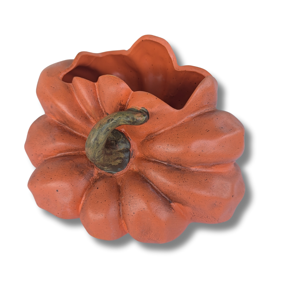 Sideways Pumpkin Container