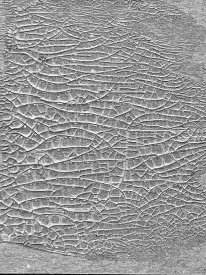 Tim Holtz Distress Crackle Paste - Translucent-  Craft Supplies- The Celebration Co.