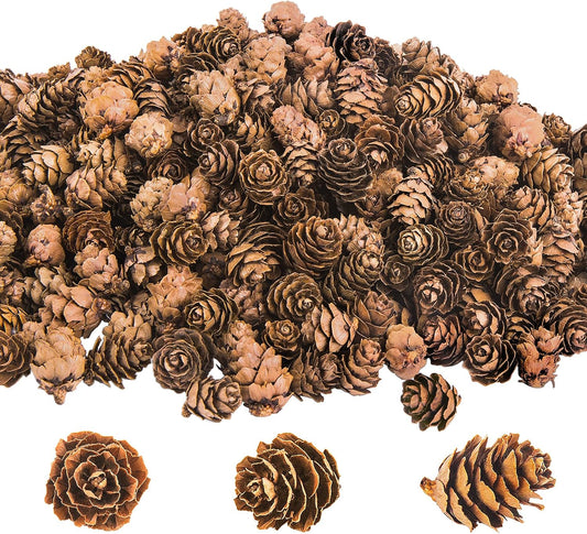 Mini Natural Pinecones – Pack of 50-  Florals- The Celebration Co.